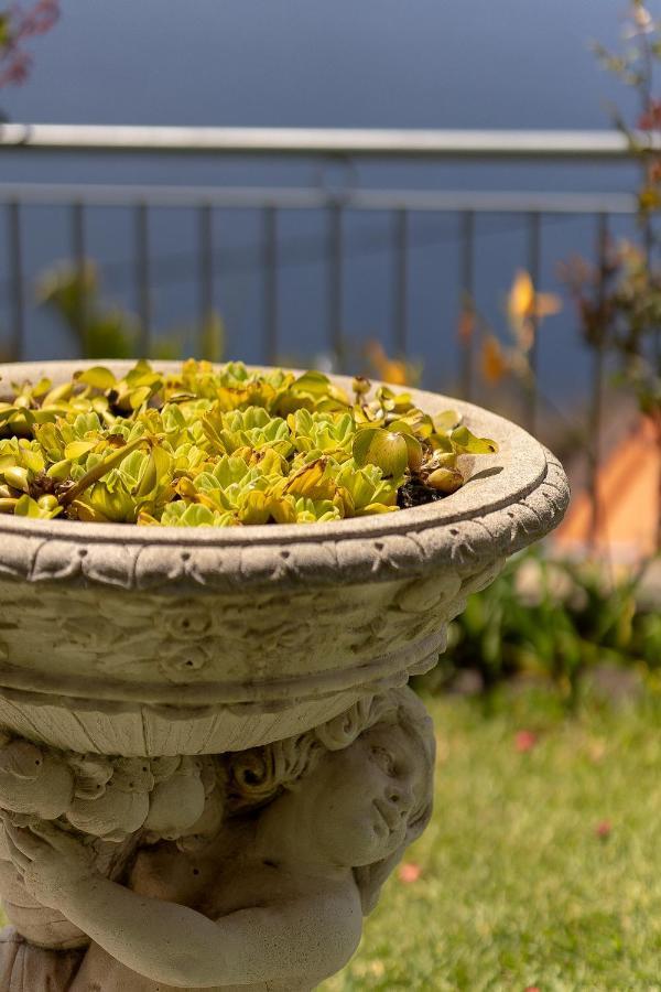 O Meu Sonho Villa Calheta  Bagian luar foto