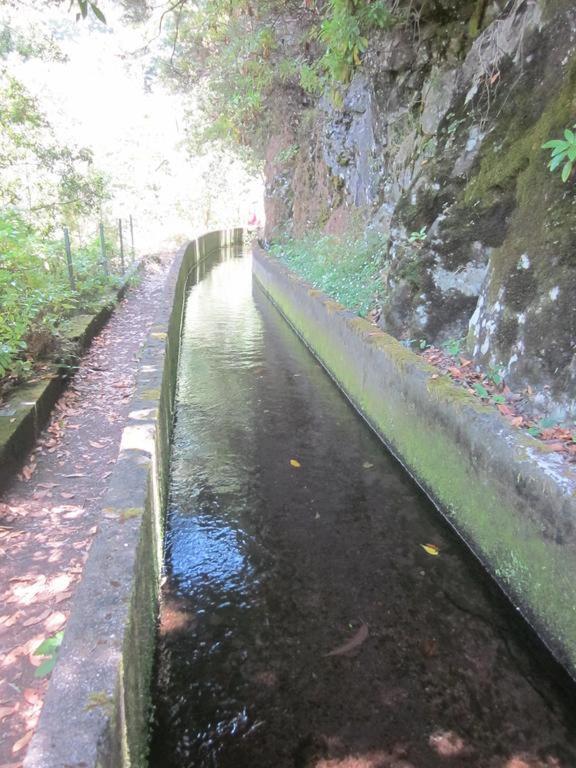 O Meu Sonho Villa Calheta  Bagian luar foto